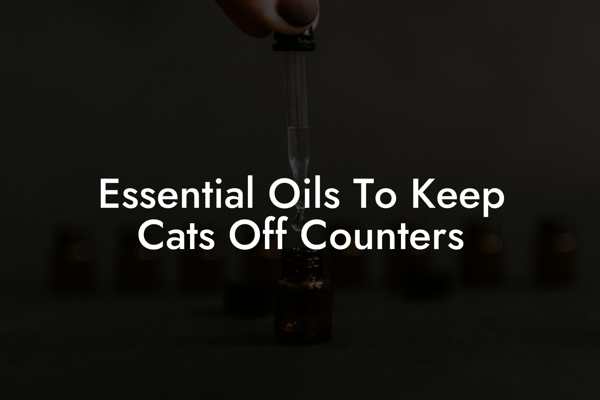 Essential Oils To Keep Cats Off Counters