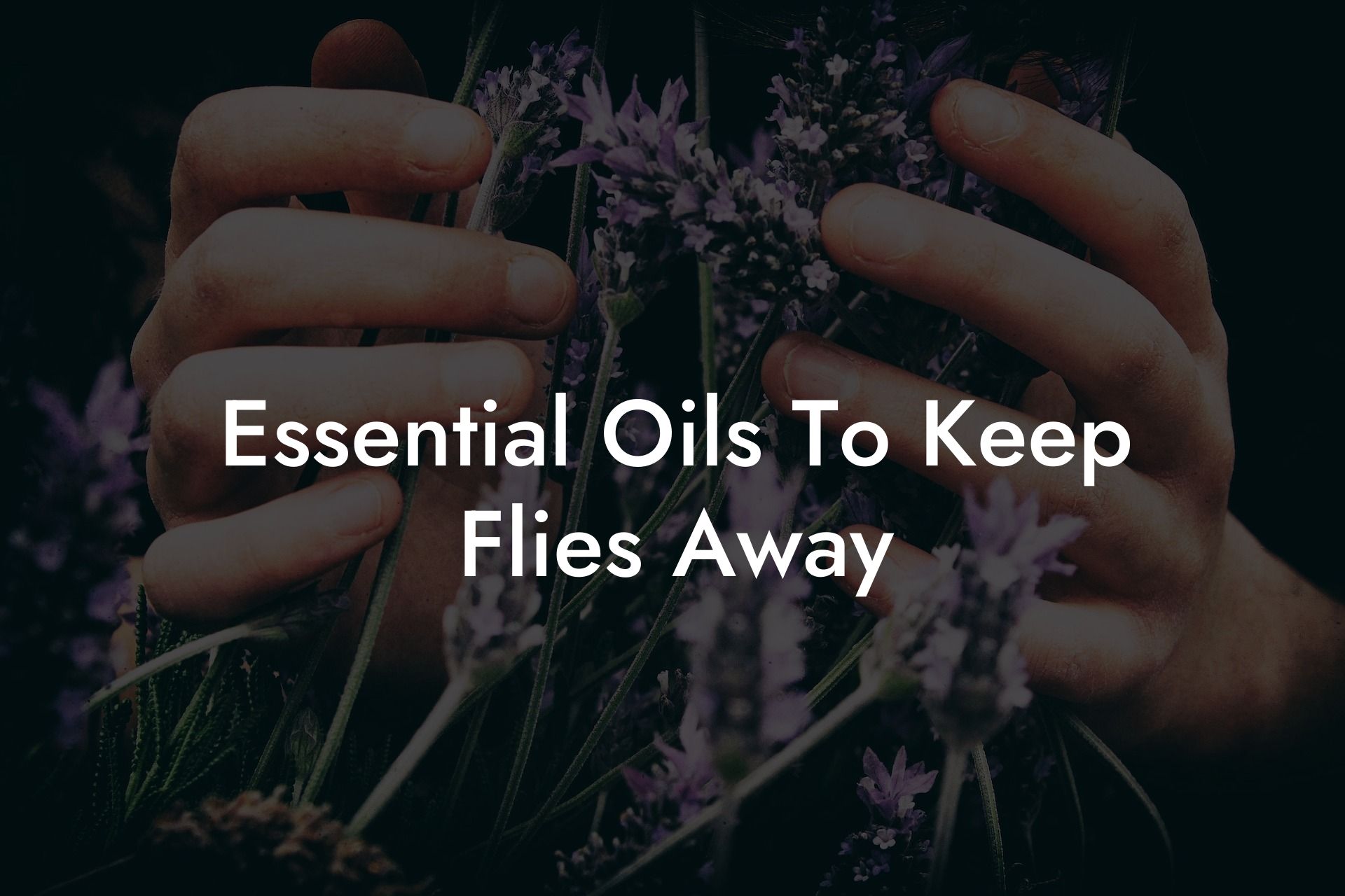 Essential Oils To Keep Flies Away