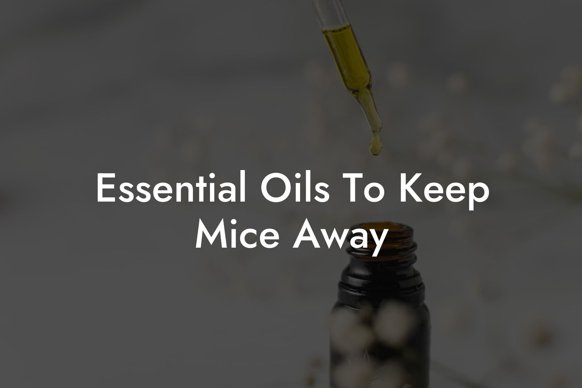 Essential Oils To Keep Mice Away