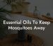 Essential Oils To Keep Mosquitoes Away