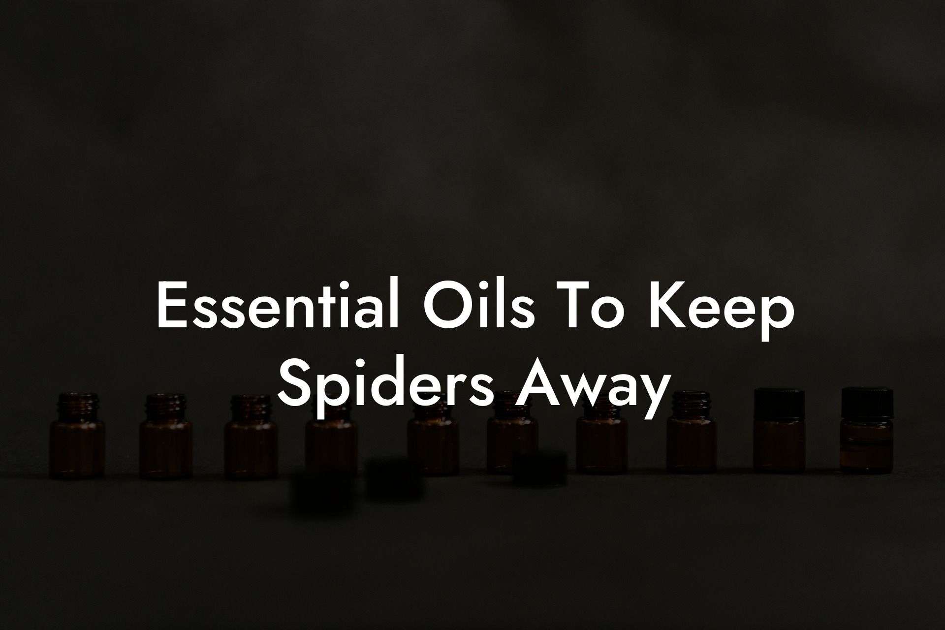 Essential Oils To Keep Spiders Away