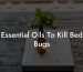 Essential Oils To Kill Bed Bugs