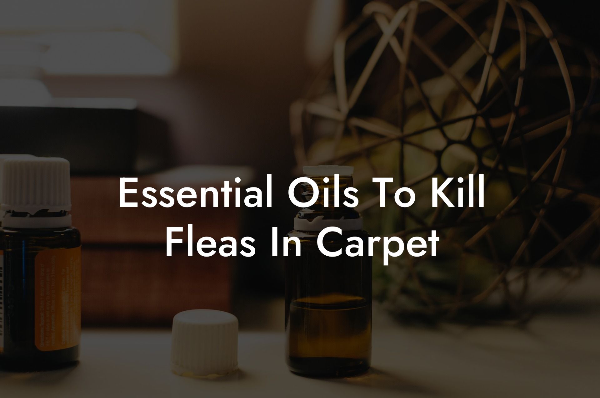 Essential Oils To Kill Fleas In Carpet