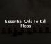 Essential Oils To Kill Fleas