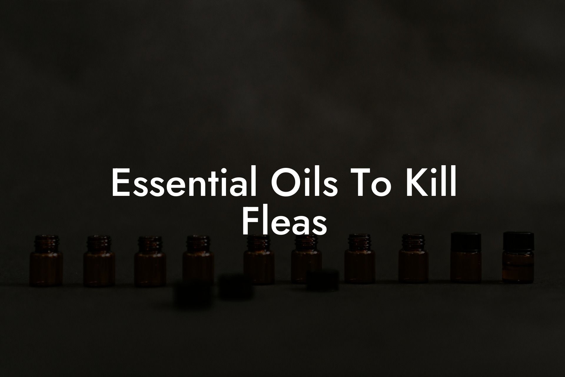 Essential Oils To Kill Fleas