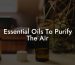 Essential Oils To Purify The Air