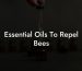 Essential Oils To Repel Bees
