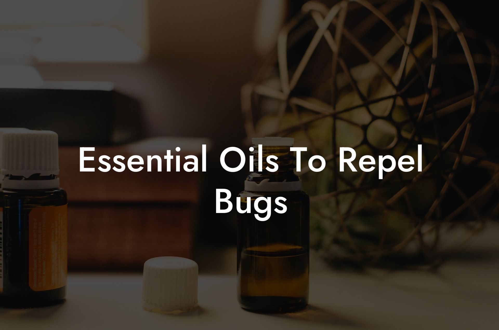 Essential Oils To Repel Bugs