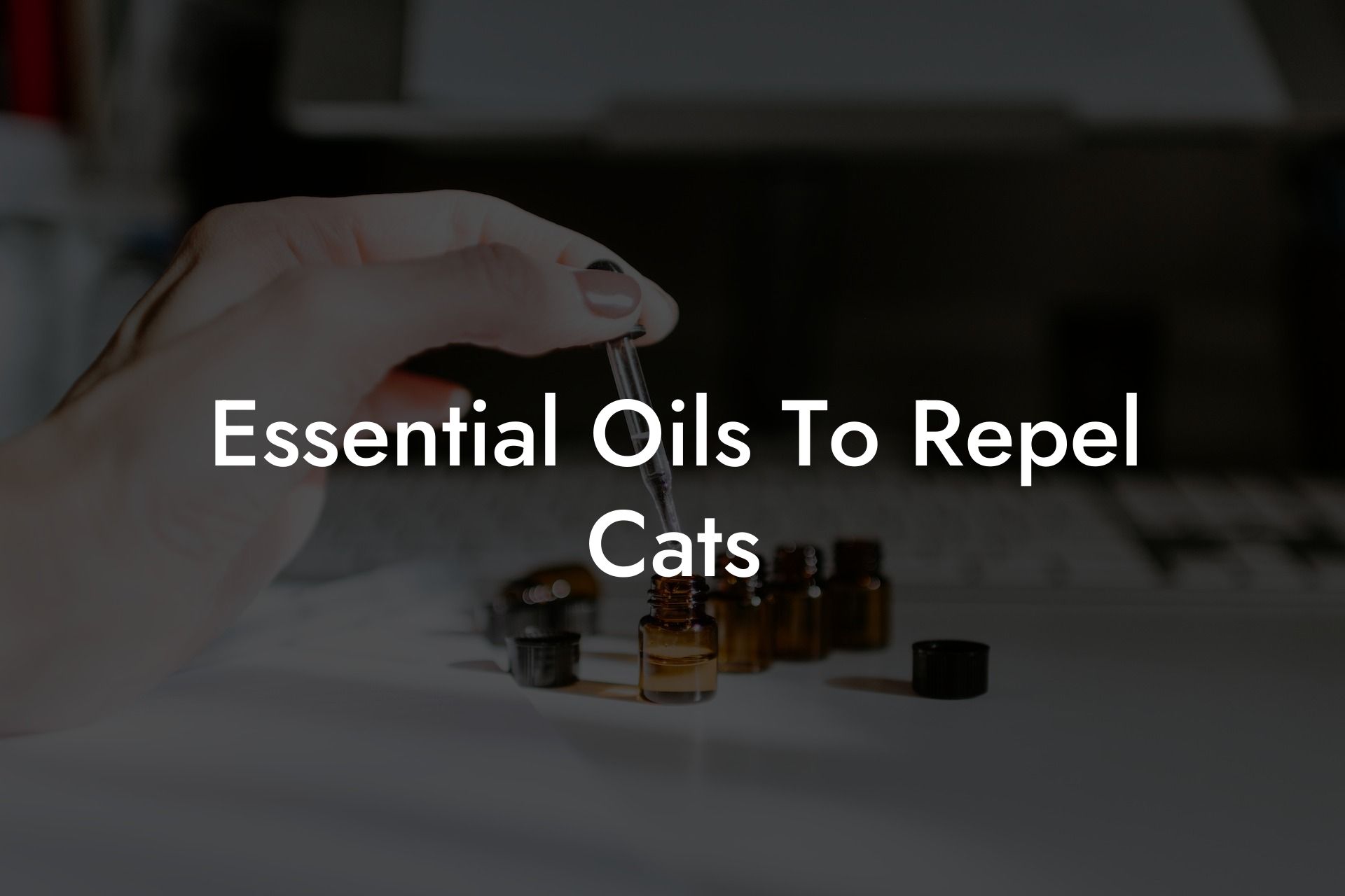 Essential Oils To Repel Cats