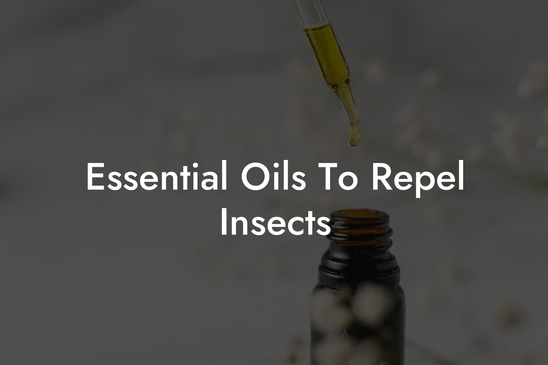 Essential Oils To Repel Insects