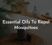 Essential Oils To Repel Mosquitoes