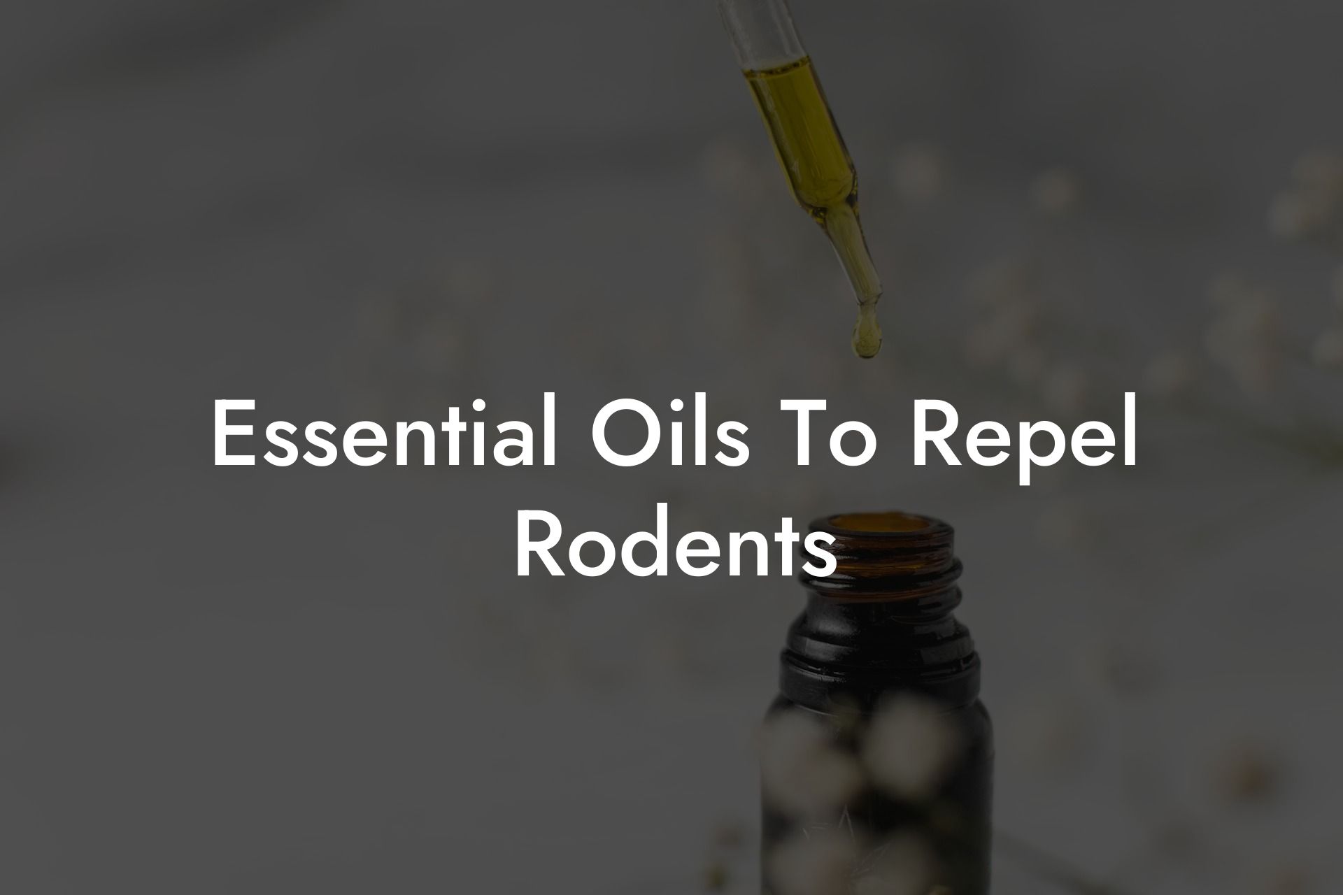 Essential Oils To Repel Rodents