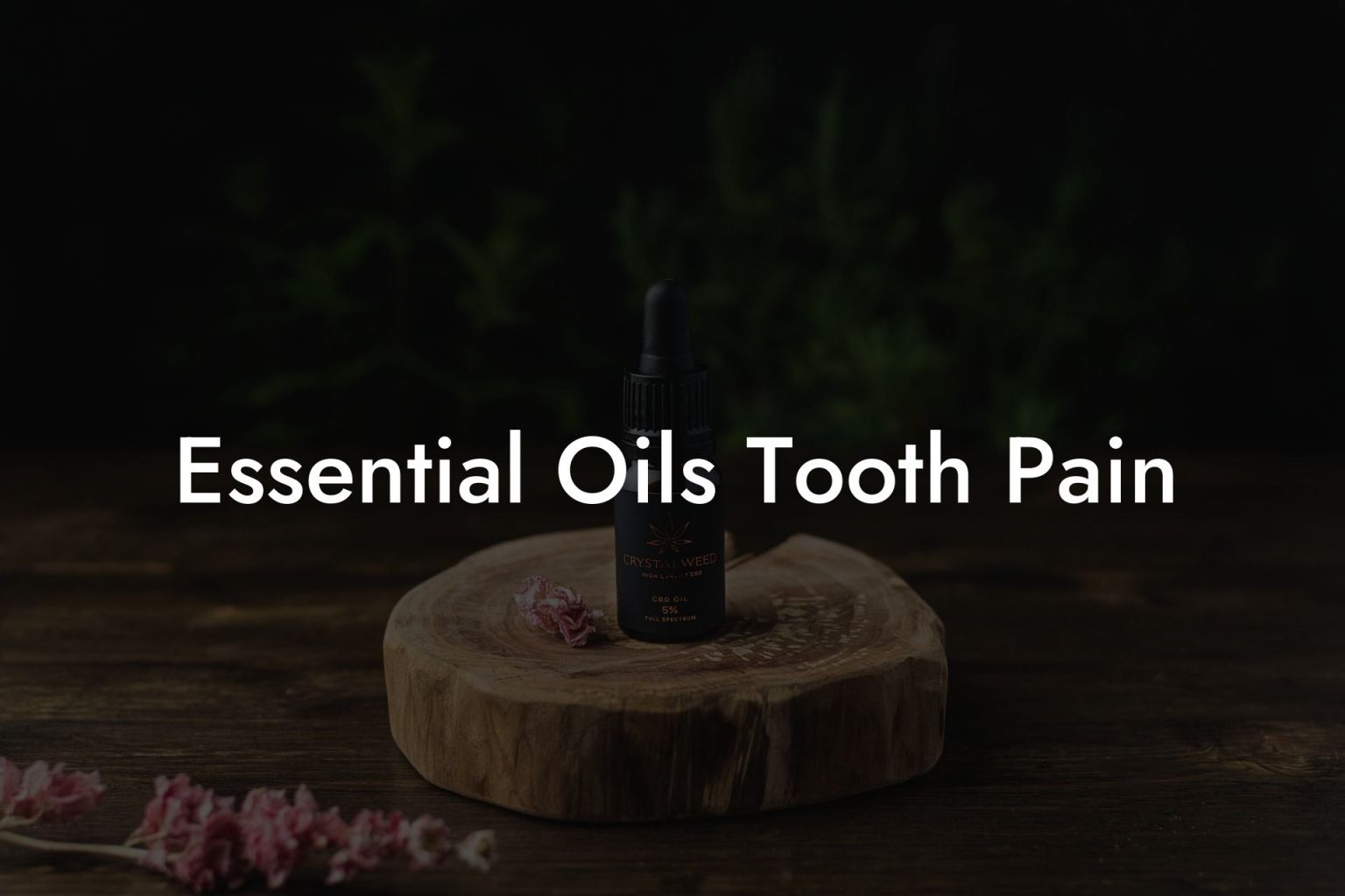 Essential Oils Tooth Pain Oshu Artisan Essential Earth Oils