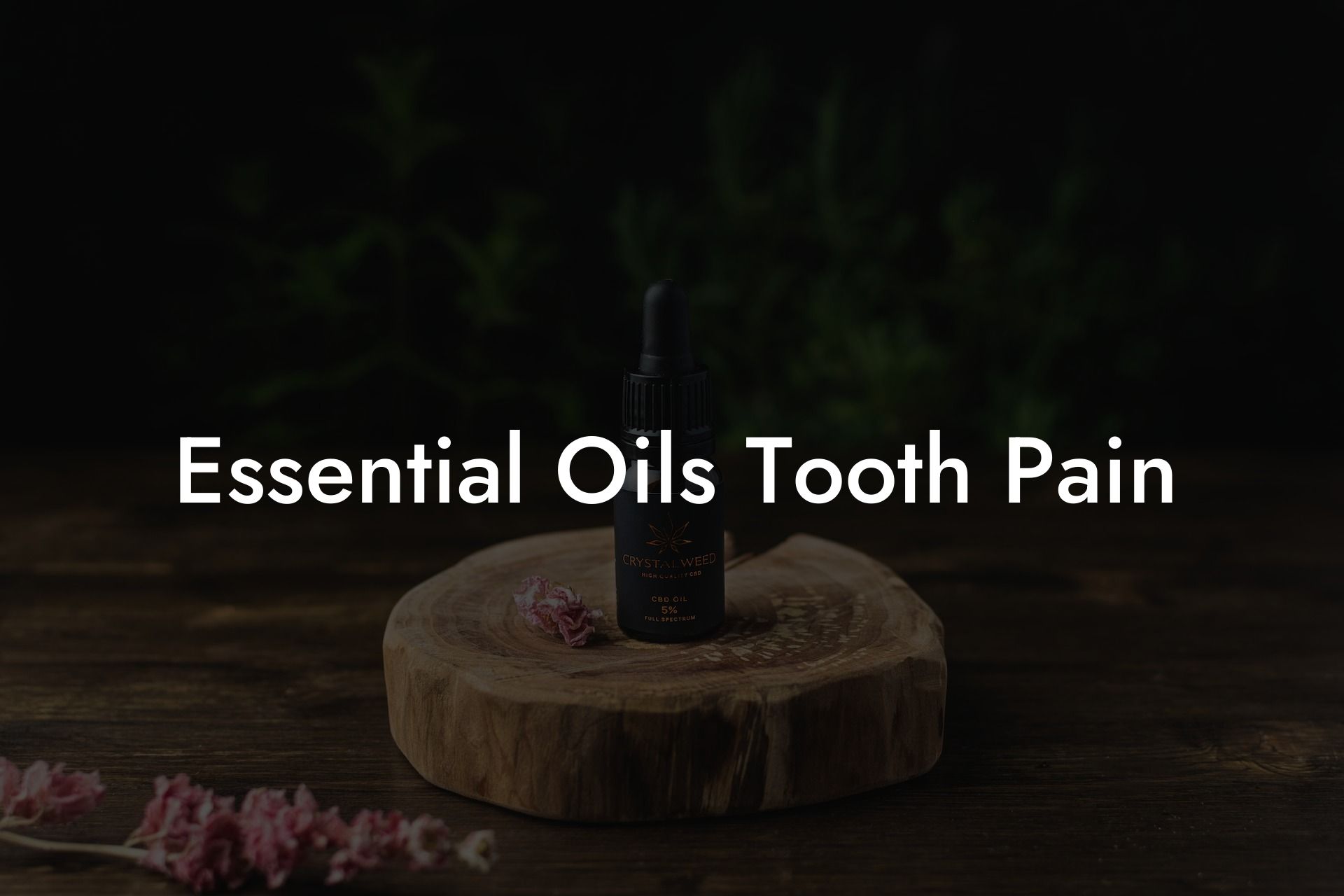 Essential Oils Tooth Pain