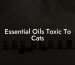Essential Oils Toxic To Cats