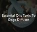 Essential Oils Toxic To Dogs Diffuser