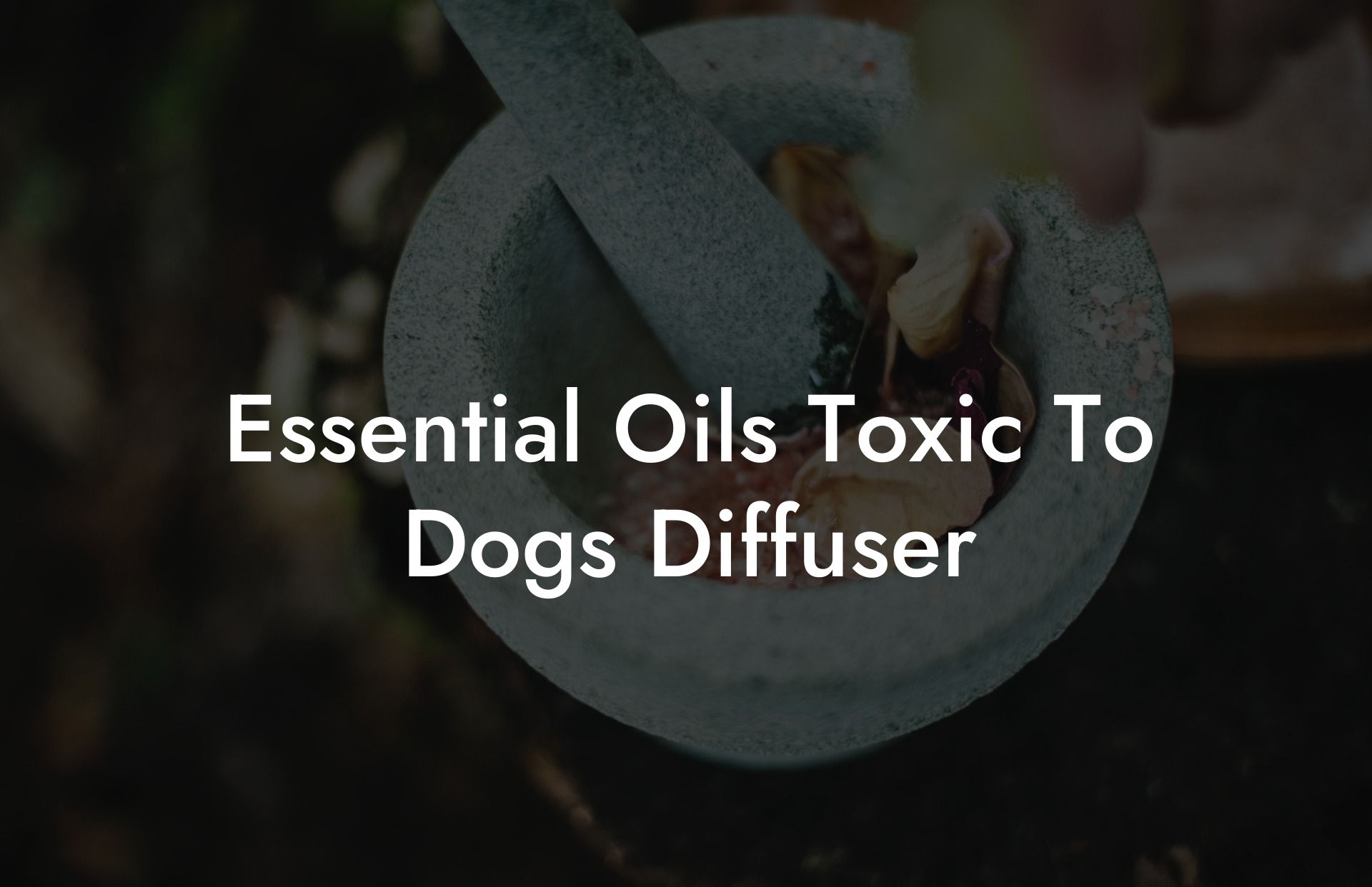 Essential Oils Toxic To Dogs Diffuser