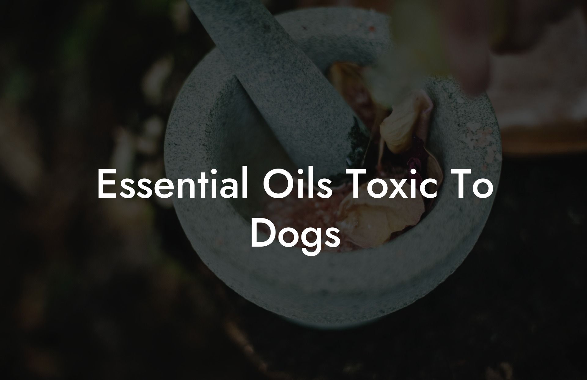 Essential Oils Toxic To Dogs