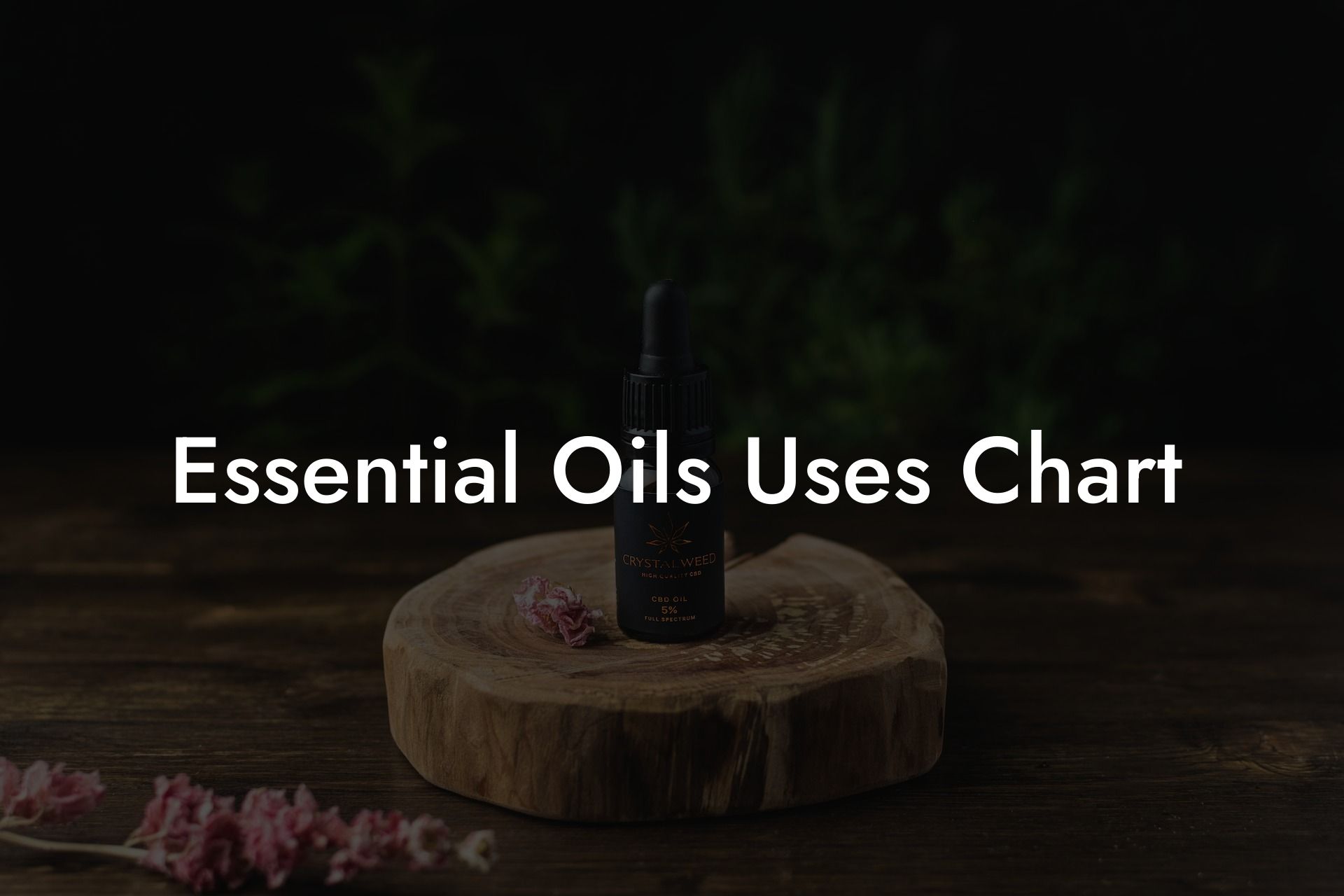 Essential Oils Uses Chart