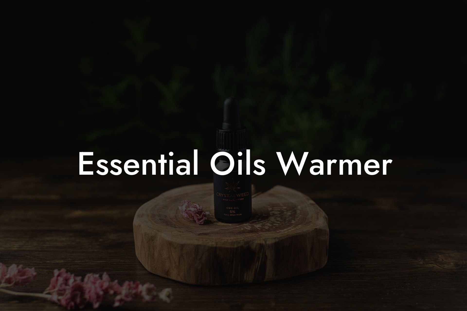 Essential Oils Warmer