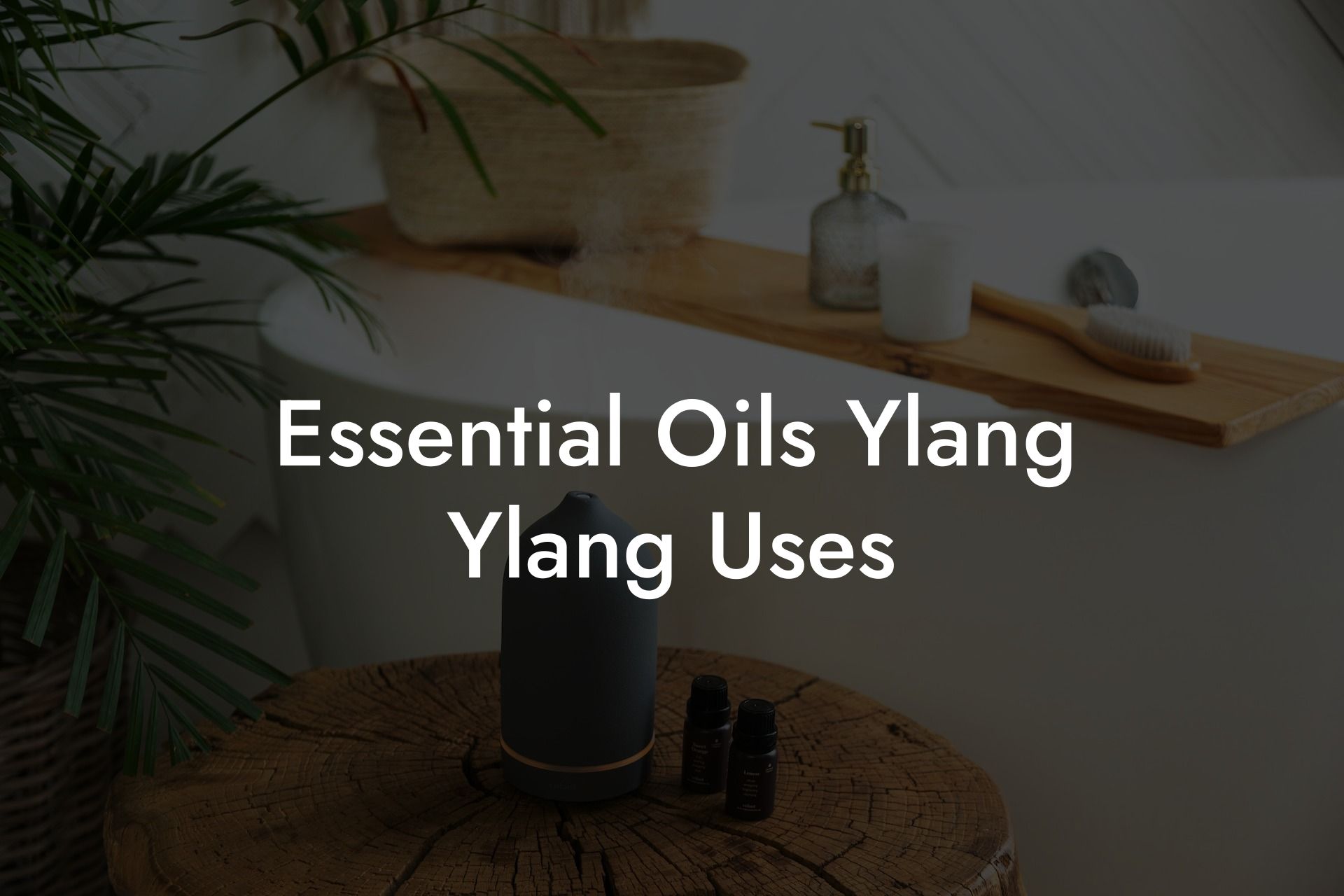 Essential Oils Ylang Ylang Uses