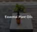 Essential Plant Oils