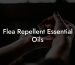 Flea Repellent Essential Oils