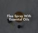 Flea Spray With Essential Oils