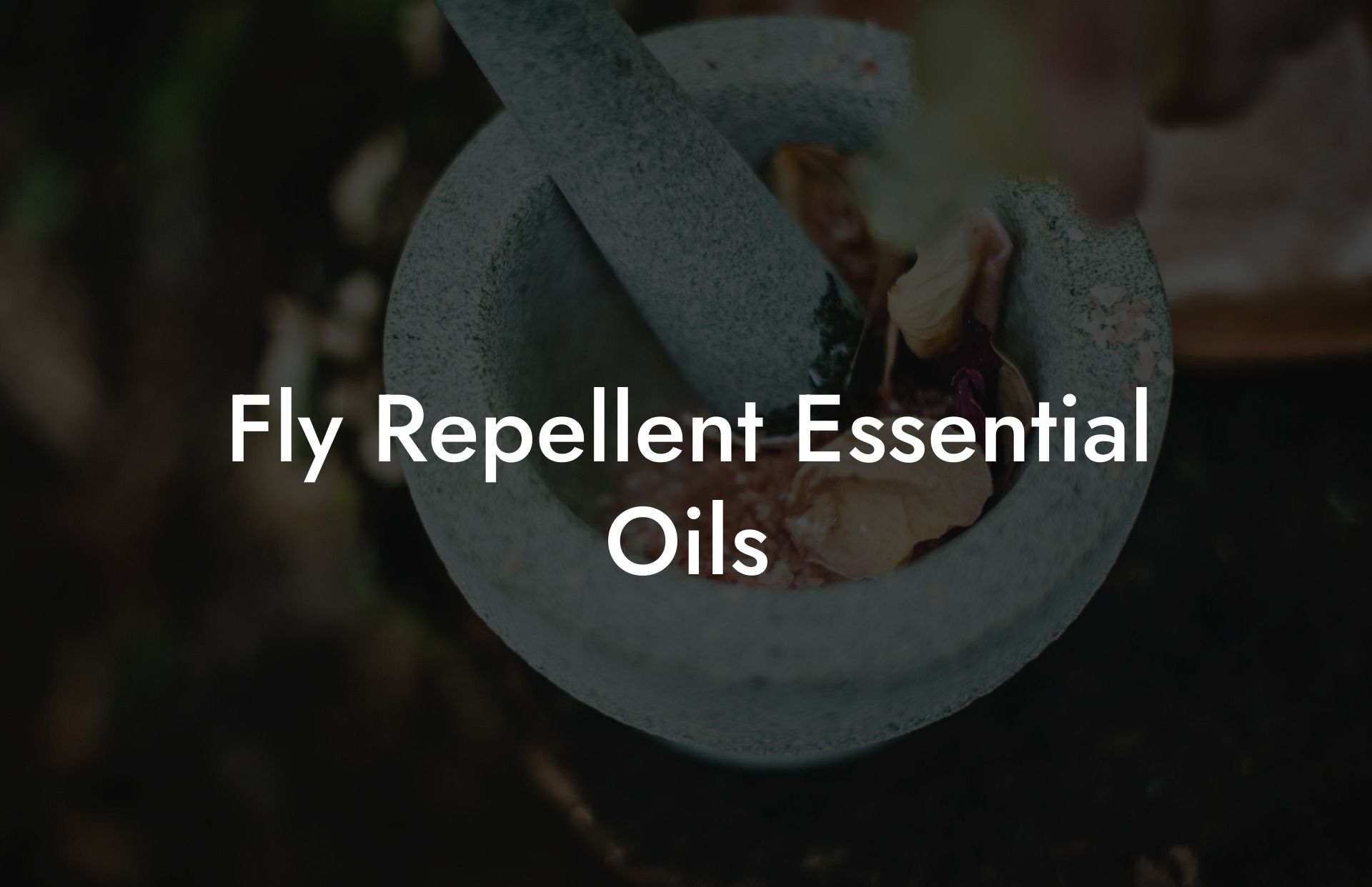Fly Repellent Essential Oils