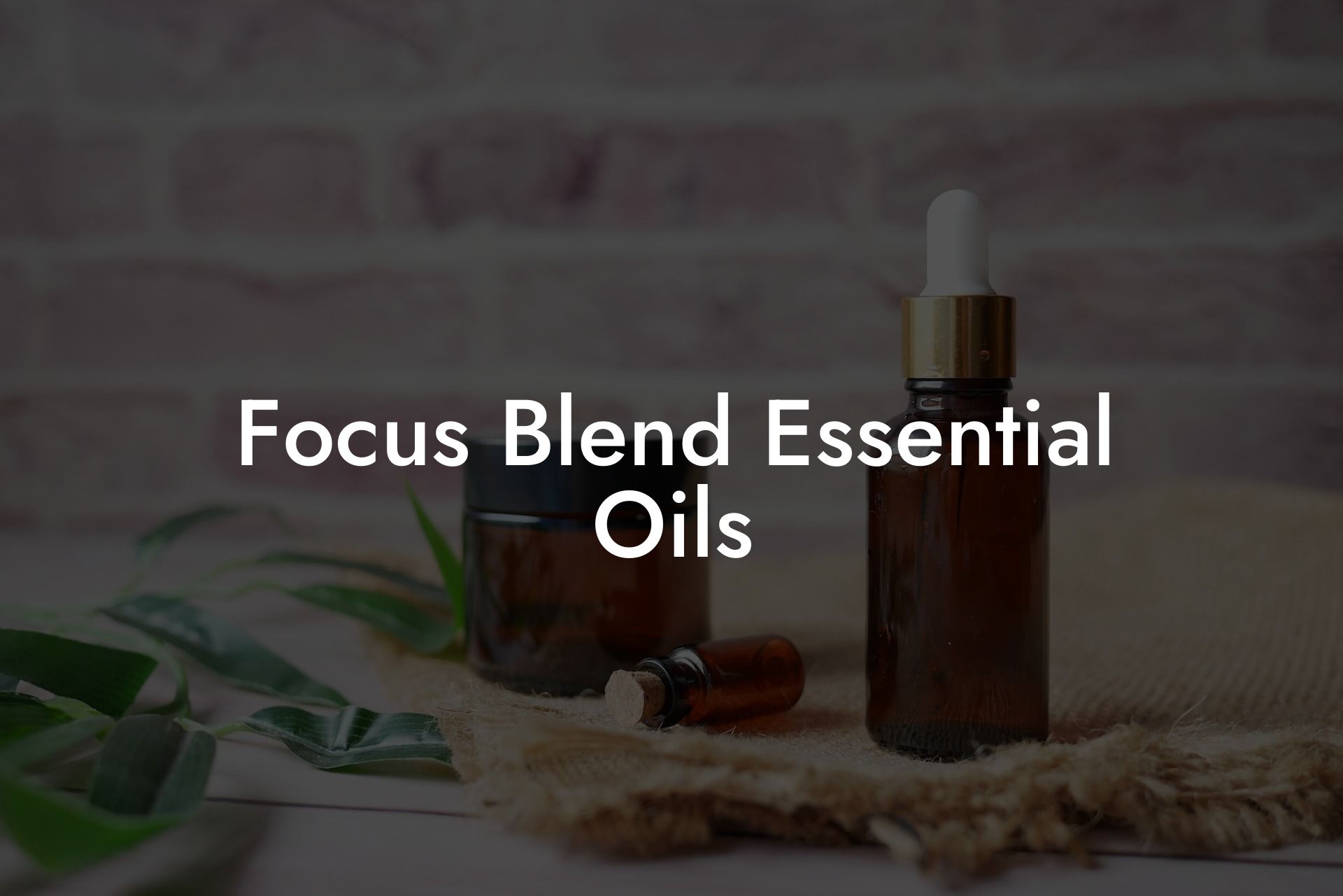 Focus Blend Essential Oils