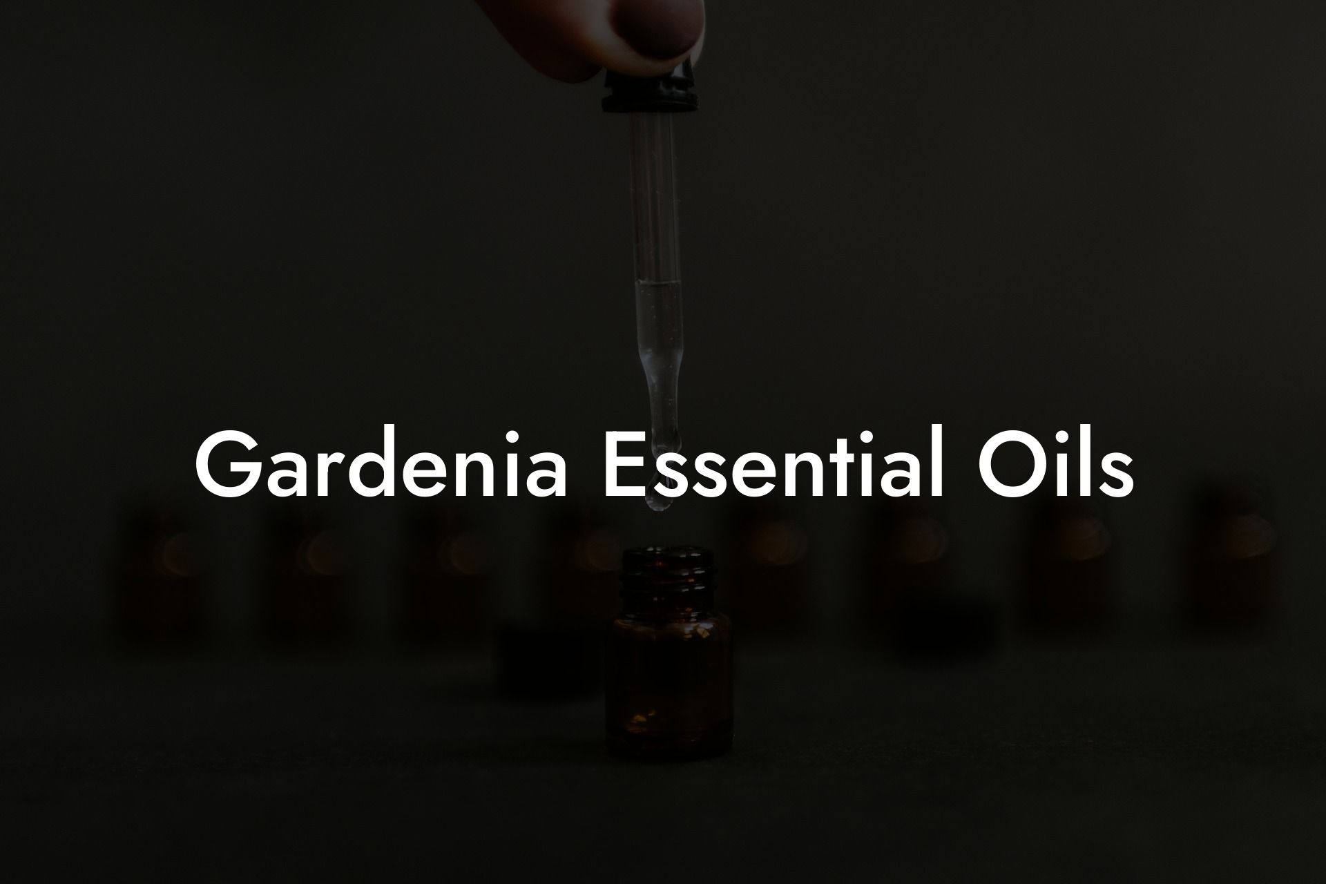 Gardenia Essential Oils