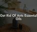 Get Rid Of Ants Essential Oils