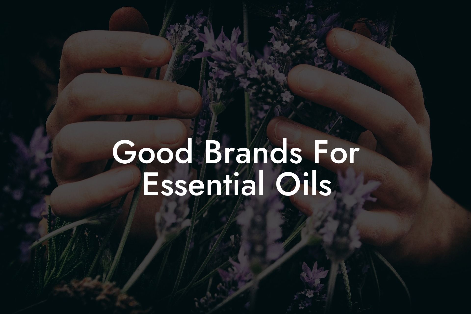 Good Brands For Essential Oils