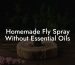 Homemade Fly Spray Without Essential Oils