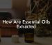 How Are Essential Oils Extracted