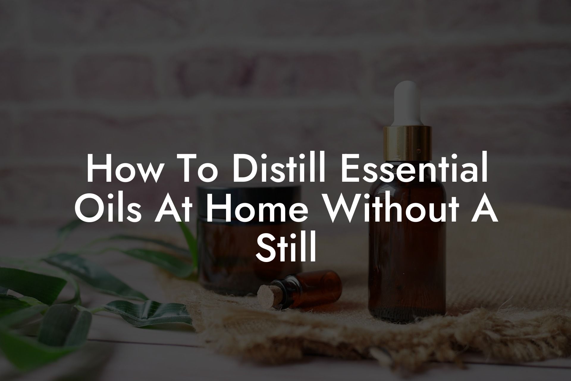How To Distill Essential Oils At Home Without A Still