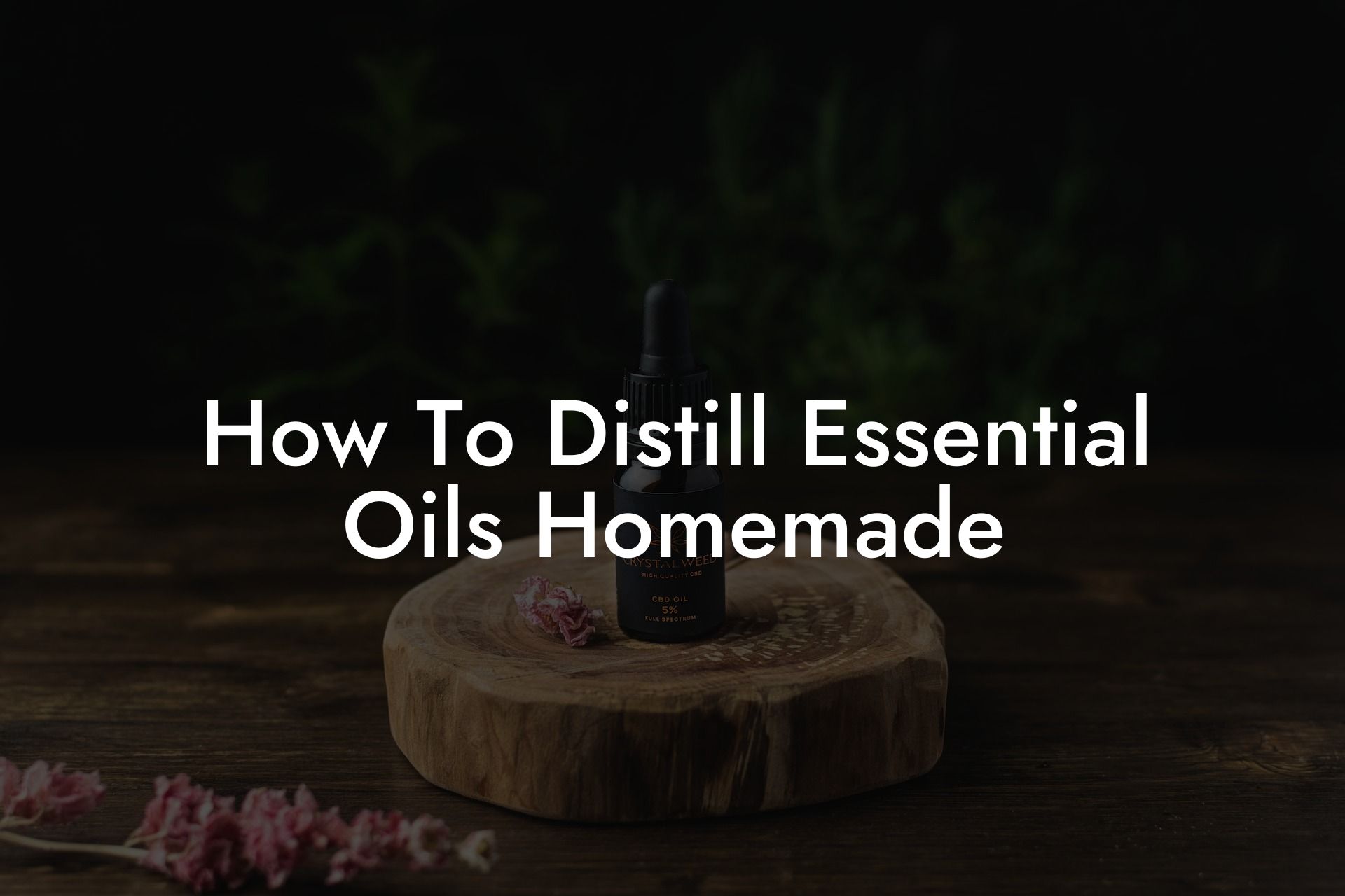 How To Distill Essential Oils Homemade