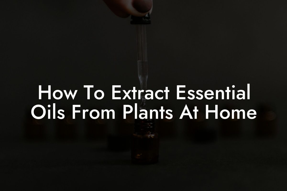 How To Extract Essential Oils From Plants At Home