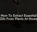 How To Extract Essential Oils From Plants At Home