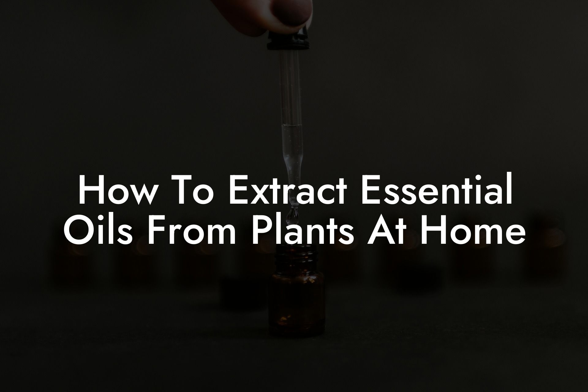 How To Extract Essential Oils From Plants At Home