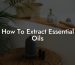 How To Extract Essential Oils