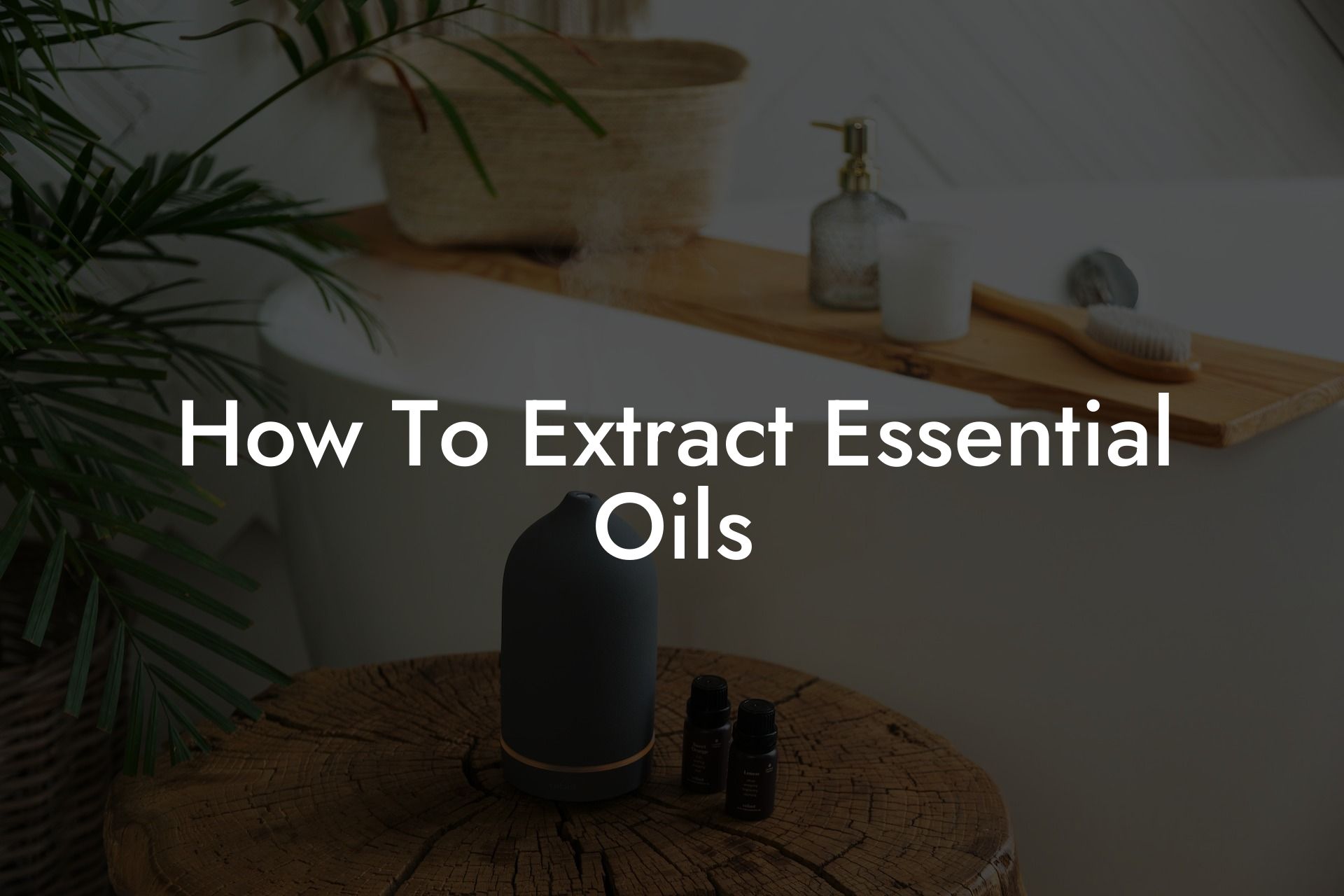 How To Extract Essential Oils