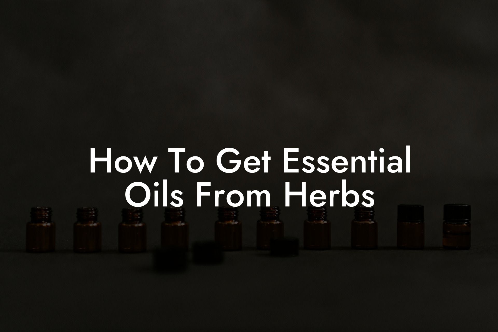 How To Get Essential Oils From Herbs