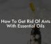 How To Get Rid Of Ants With Essential Oils