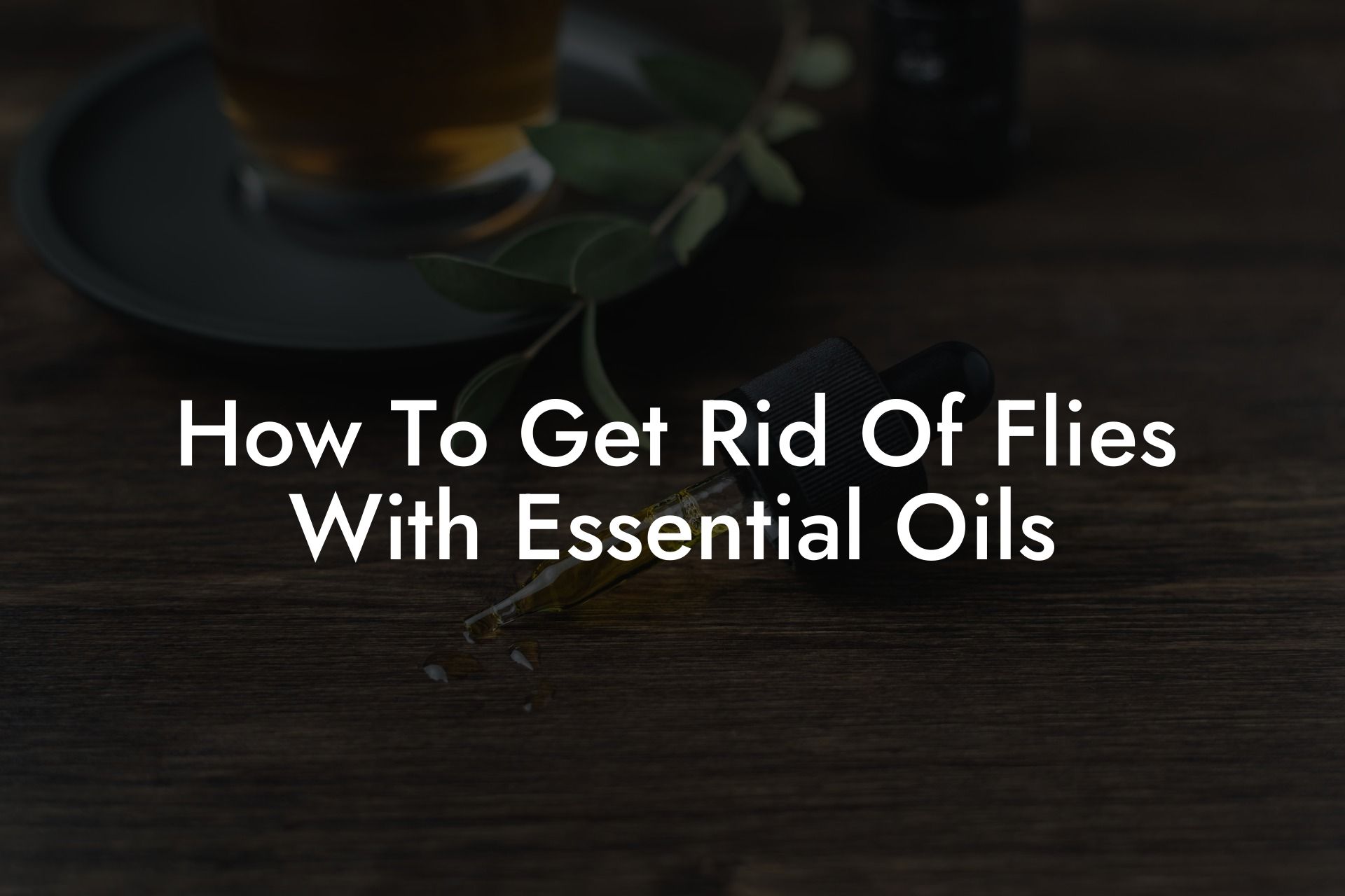 How To Get Rid Of Flies With Essential Oils