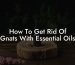 How To Get Rid Of Gnats With Essential Oils