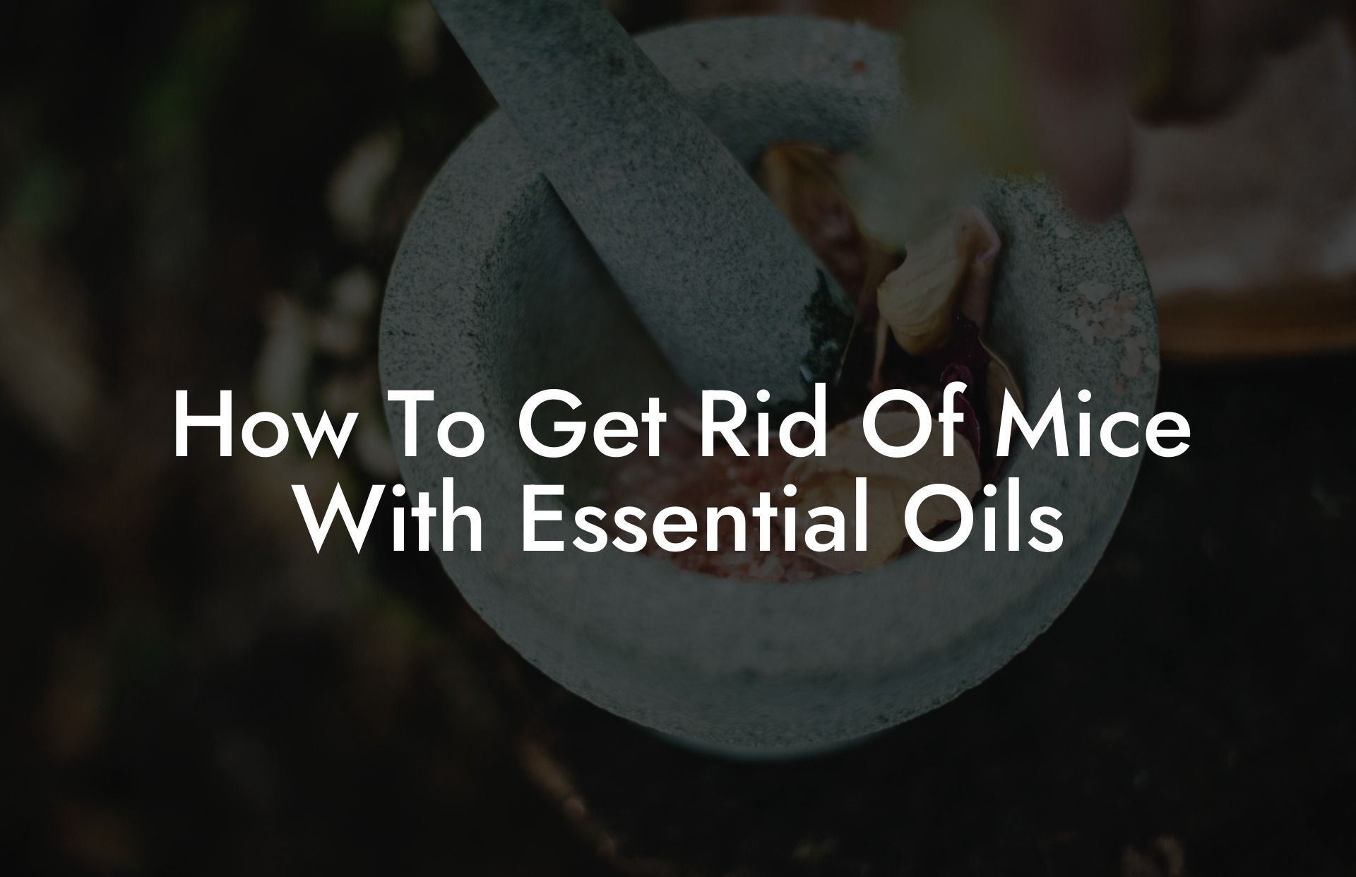 How To Get Rid Of Mice With Essential Oils