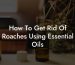 How To Get Rid Of Roaches Using Essential Oils