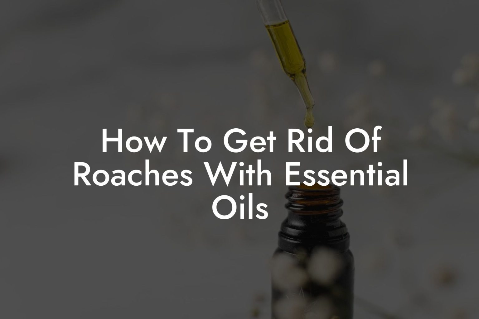 How To Get Rid Of Roaches With Essential Oils Oshu Artisan