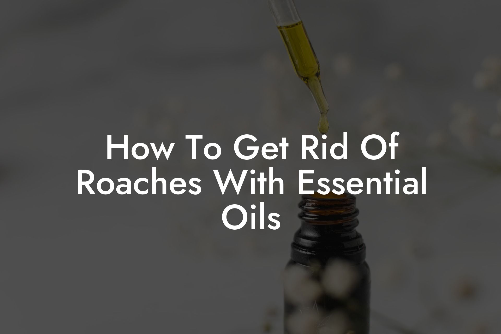 How To Get Rid Of Roaches With Essential Oils